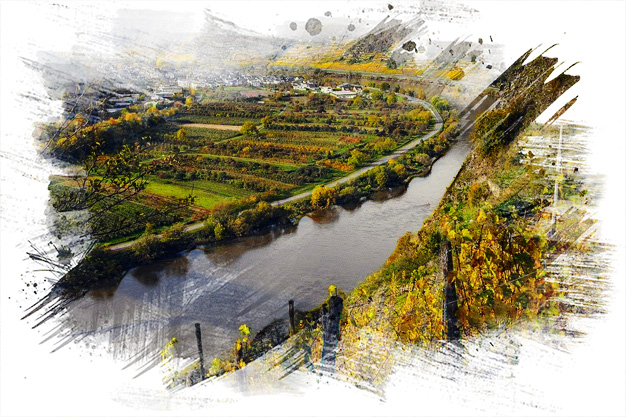 Naturaleza en Valdeorras