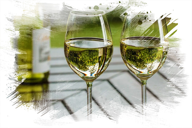 Ruta del vino D.O. Valdeorras